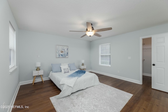 bedroom featuring ceiling fan, dark wood-style flooring, baseboards, a closet, and a walk in closet