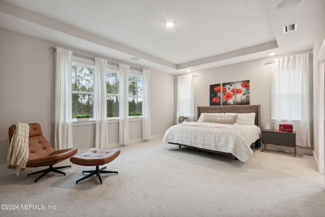 carpeted bedroom with a tray ceiling