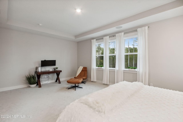 carpeted bedroom featuring a raised ceiling