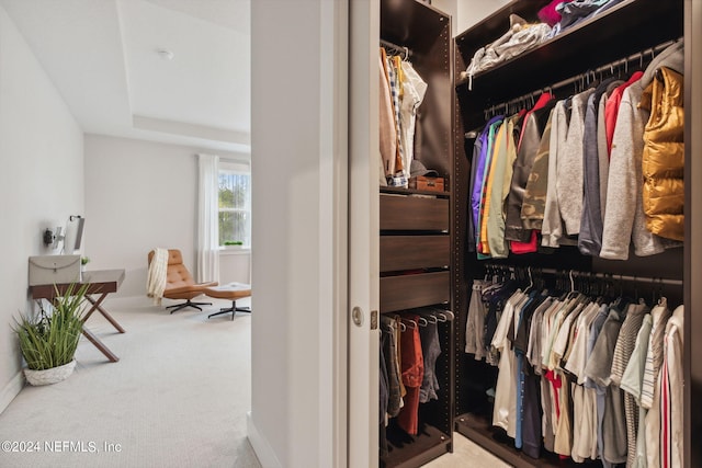 spacious closet with carpet