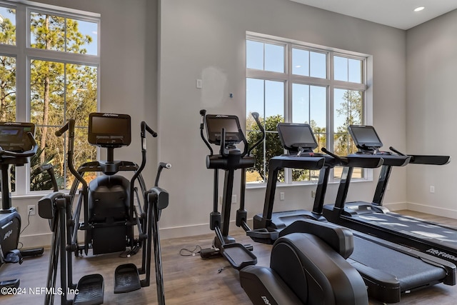 exercise room featuring hardwood / wood-style flooring and plenty of natural light