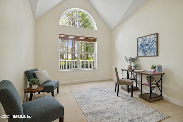 office featuring light colored carpet and high vaulted ceiling