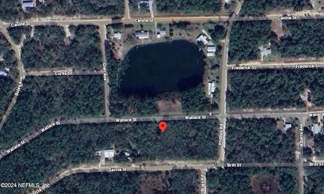 157 Wallace St, Interlachen FL, 32148 land for sale