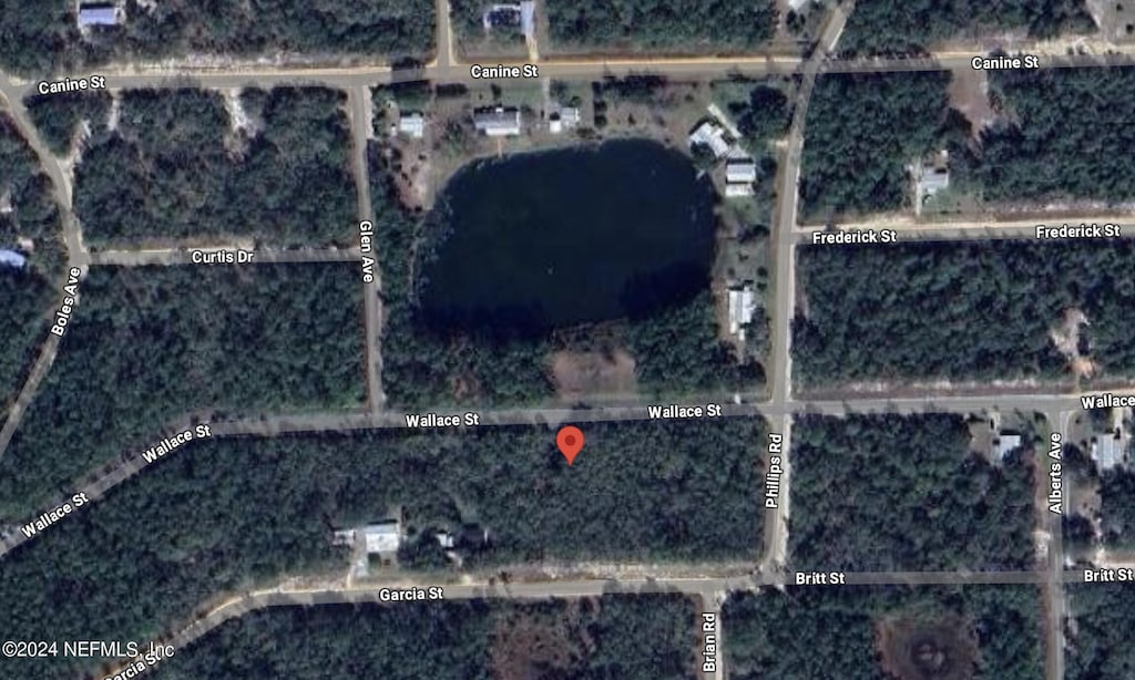 157 Wallace St, Interlachen, FL 32148