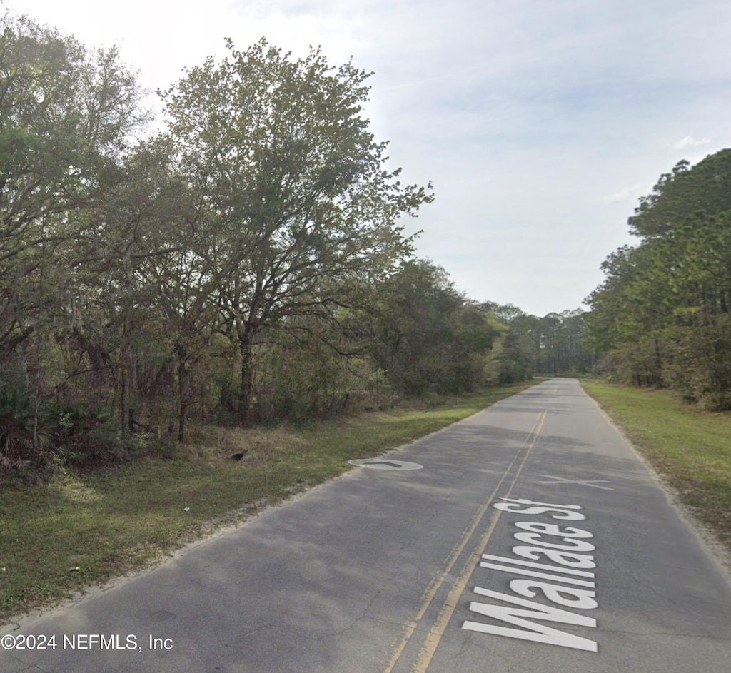157 Wallace St, Interlachen, FL 32148