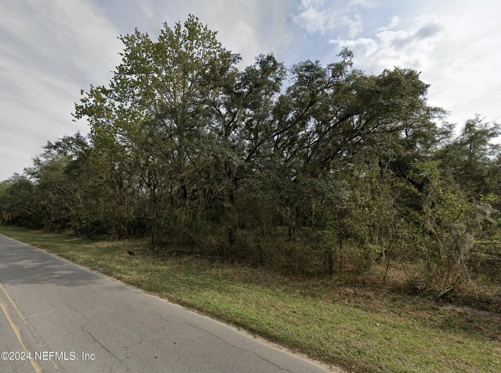 157 Wallace St, Interlachen, FL 32148