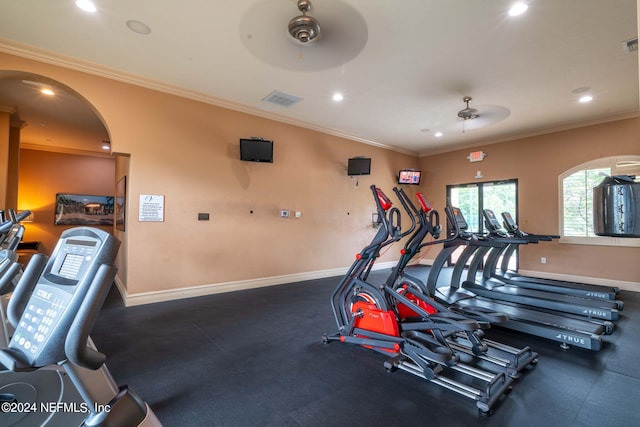 workout area with ceiling fan and crown molding