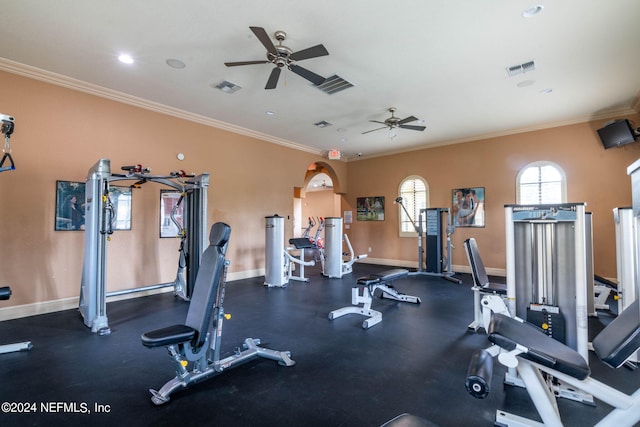 workout area with ceiling fan and crown molding