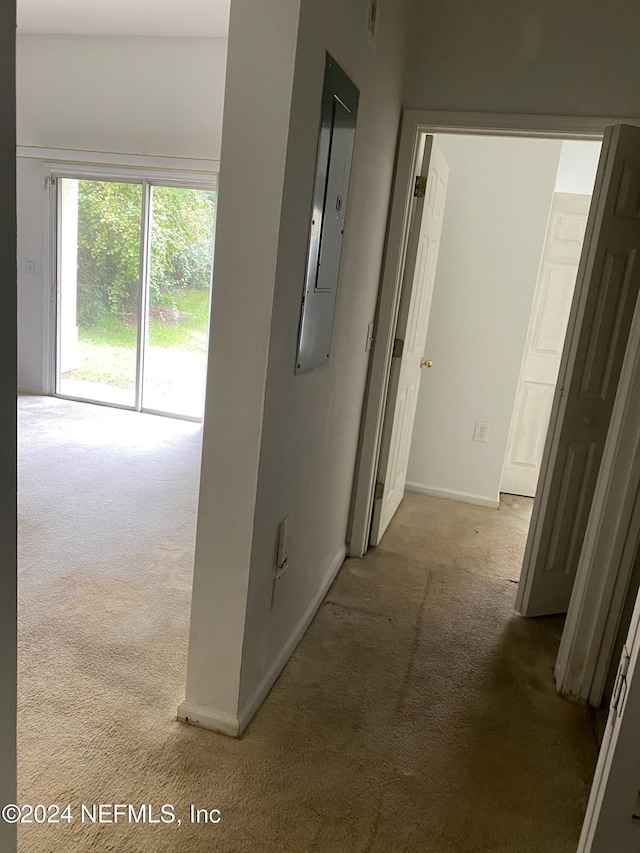 hall featuring electric panel and carpet flooring