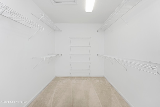 spacious closet with light carpet