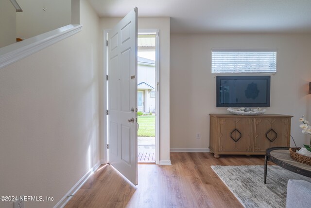 foyer with light hardwood / wood-style flooring and a wealth of natural light