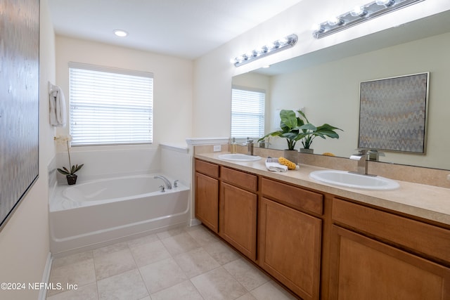 bathroom featuring vanity, a bathing tub, and a healthy amount of sunlight