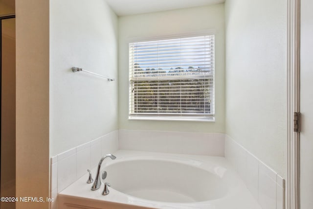 bathroom featuring a washtub