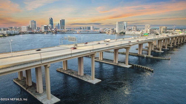 dock area featuring a water view