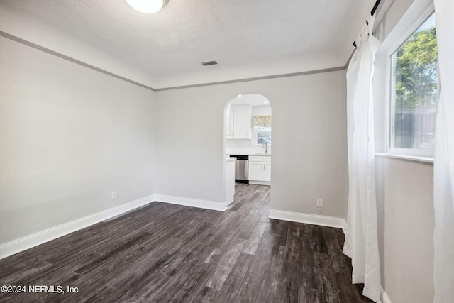 empty room featuring a textured ceiling, dark hardwood / wood-style flooring, sink, and a wealth of natural light