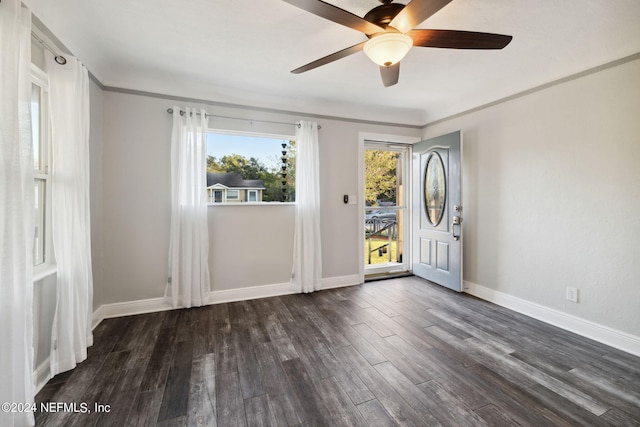 foyer featuring ceiling fan, crown molding, and dark hardwood / wood-style flooring