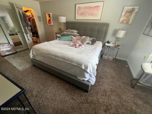 carpeted bedroom with a spacious closet and a closet