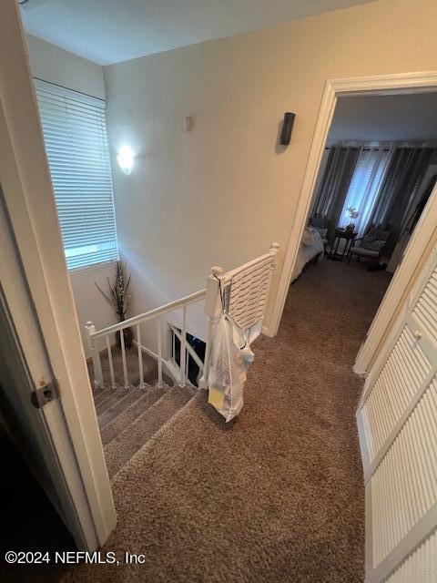 stairway with carpet floors