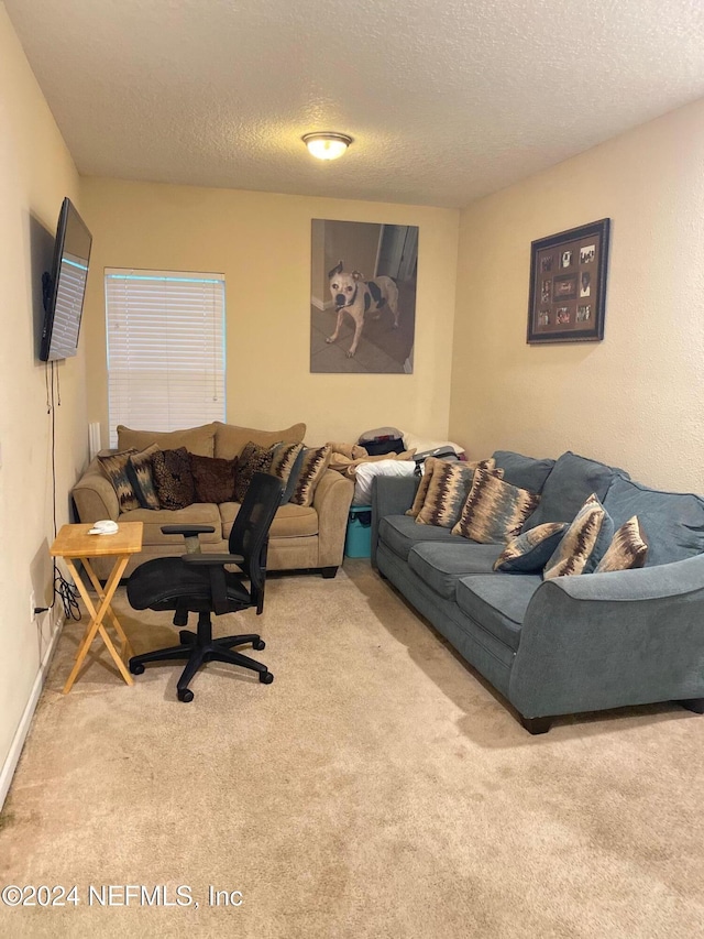 living room with light carpet and a textured ceiling