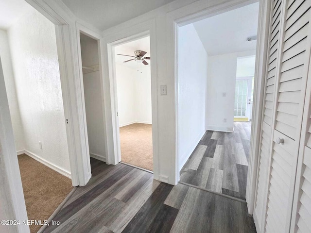 corridor featuring dark hardwood / wood-style floors