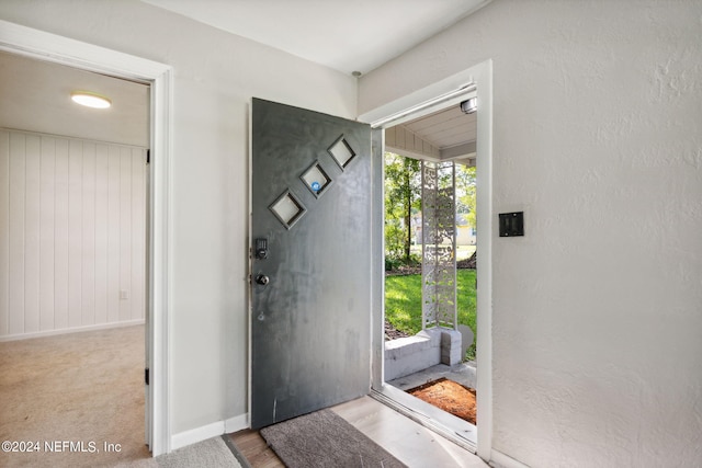 entryway featuring wood walls and carpet flooring