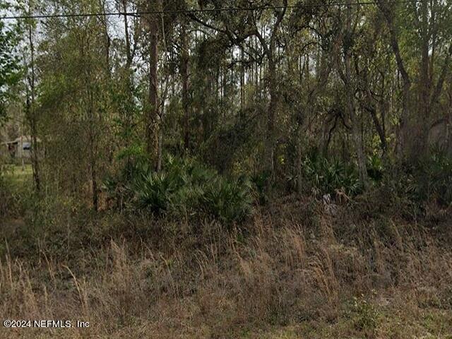 0 Britt St, Interlachen, FL 32148