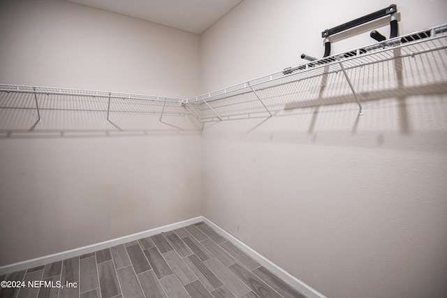 spacious closet featuring wood-type flooring