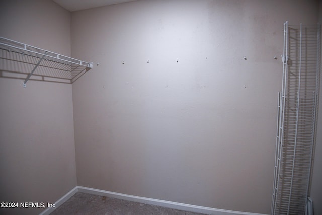 walk in closet featuring carpet floors