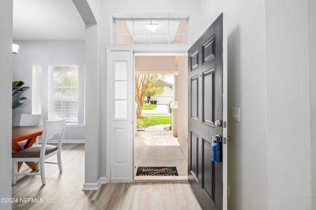 entryway with light hardwood / wood-style floors and a healthy amount of sunlight