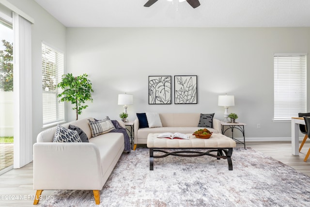 living room with light hardwood / wood-style floors and ceiling fan