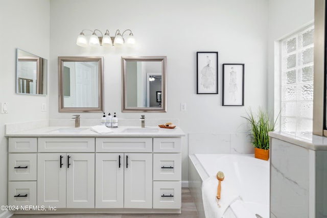 bathroom with vanity and a bathing tub