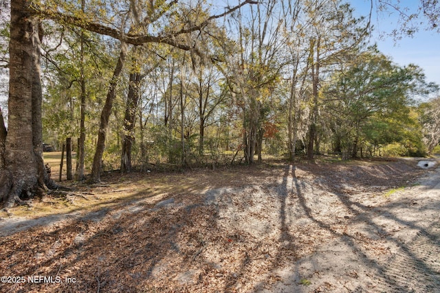 Listing photo 3 for 0 County Road 127, Sanderson FL 32087