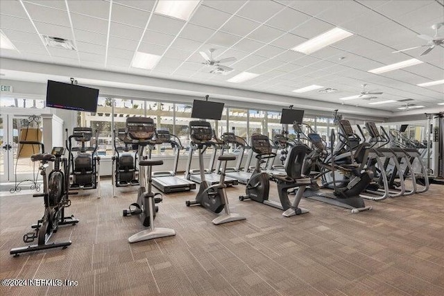 workout area featuring ceiling fan, carpet floors, and a paneled ceiling