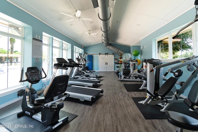 gym featuring a barn door, lofted ceiling, dark hardwood / wood-style flooring, and ceiling fan