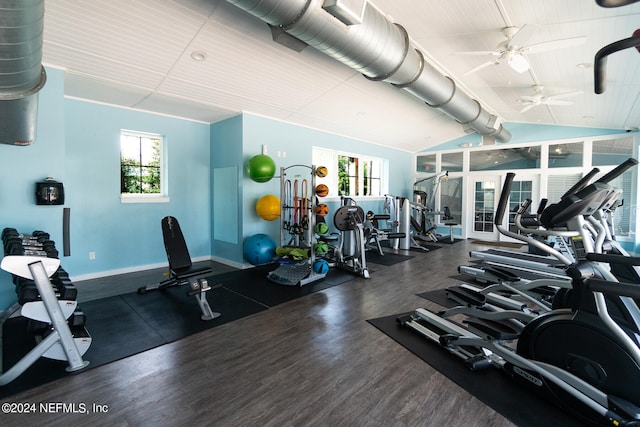 workout area featuring lofted ceiling, ceiling fan, and dark hardwood / wood-style floors