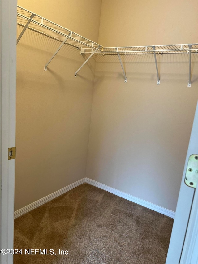 spacious closet with carpet floors