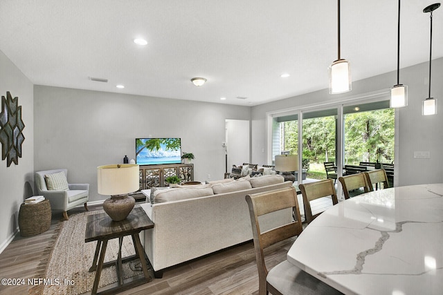 living room featuring hardwood / wood-style floors