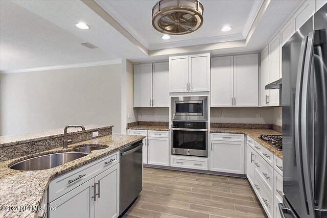 kitchen featuring appliances with stainless steel finishes, light stone countertops, sink, white cabinets, and a tray ceiling