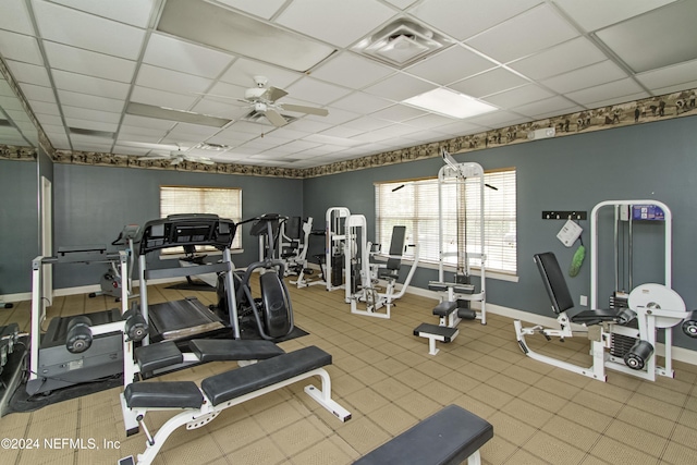 exercise room featuring a paneled ceiling, baseboards, and ceiling fan