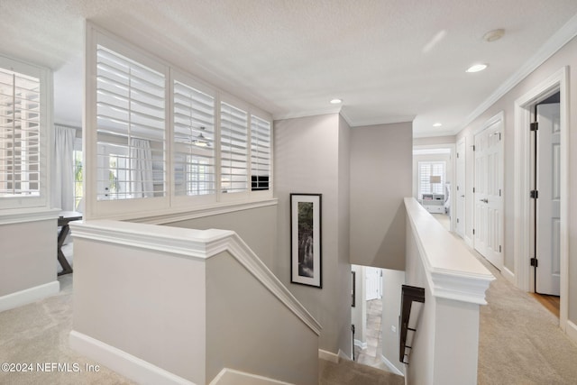 stairs featuring carpet, a textured ceiling, and plenty of natural light