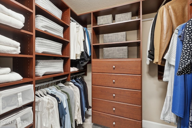 view of spacious closet