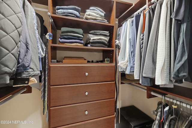 view of spacious closet