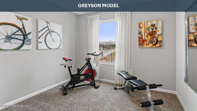 exercise area featuring carpet floors