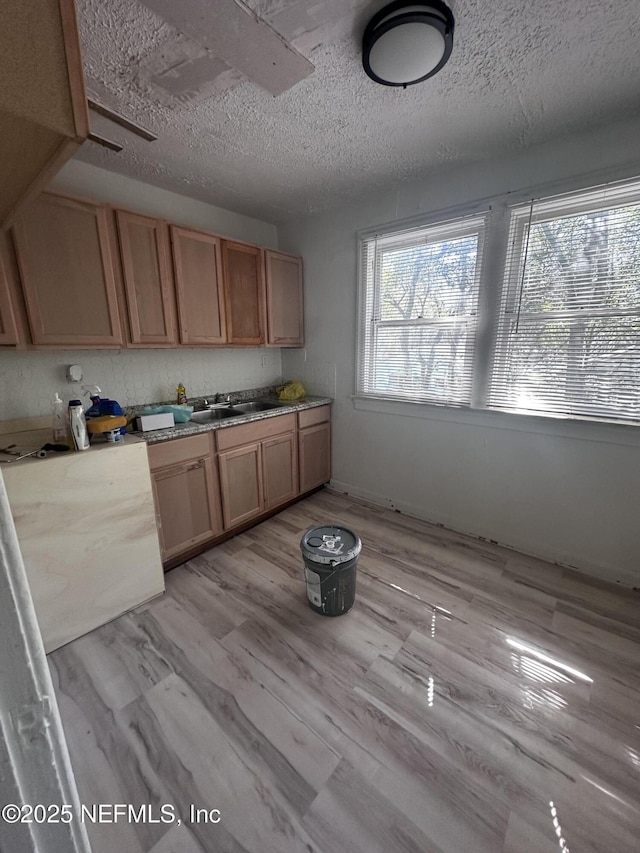 kitchen featuring light wood-type flooring, light countertops, and a textured ceiling