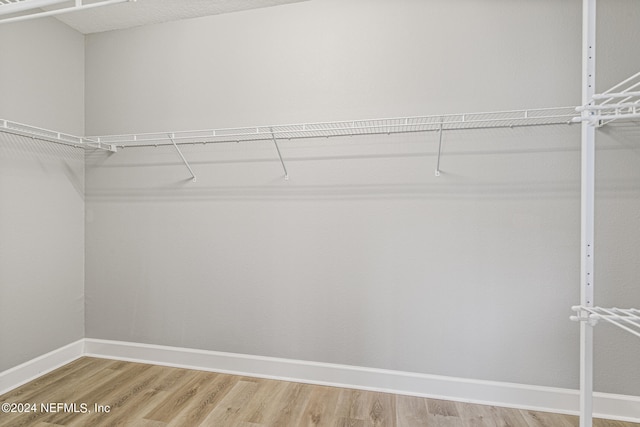 walk in closet with wood-type flooring