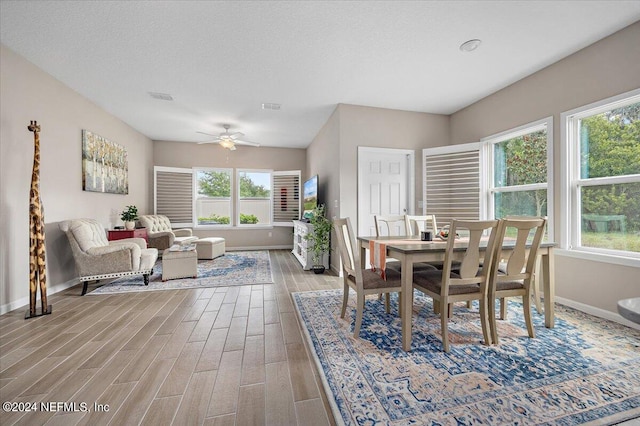 dining area featuring ceiling fan, a textured ceiling, and hardwood / wood-style floors