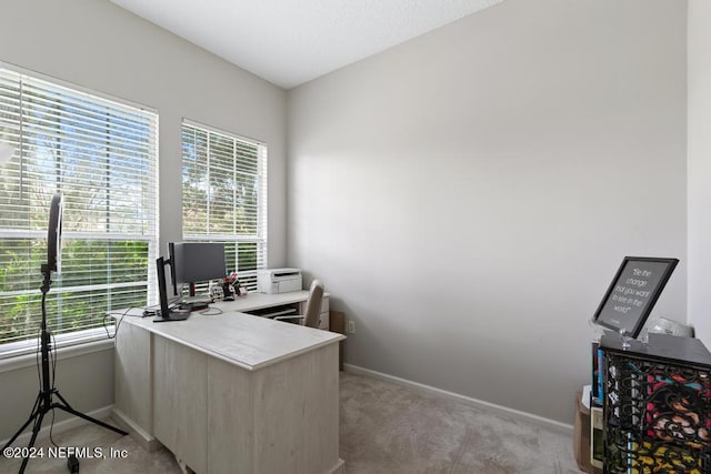 office area featuring light carpet