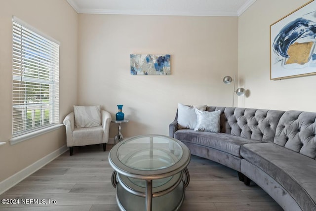 living room featuring wood-type flooring and crown molding