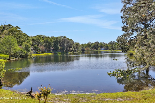 property view of water