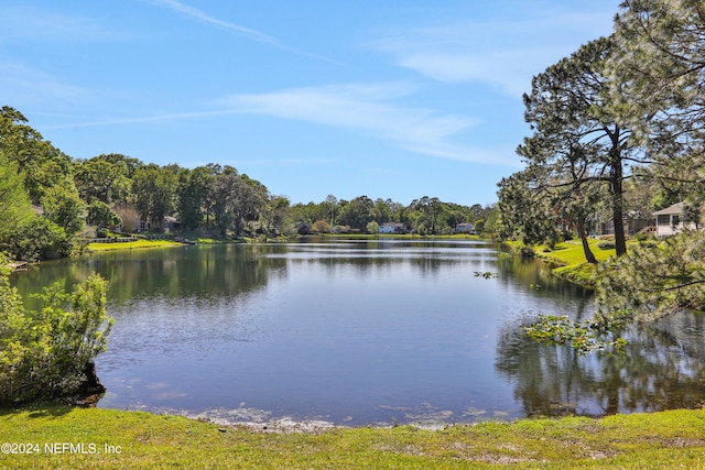 property view of water